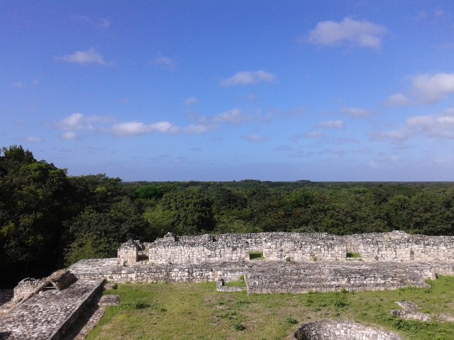 tutto il resto è jungla