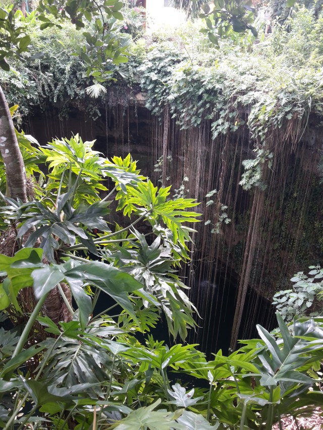 Si inizia a vedere il cenote